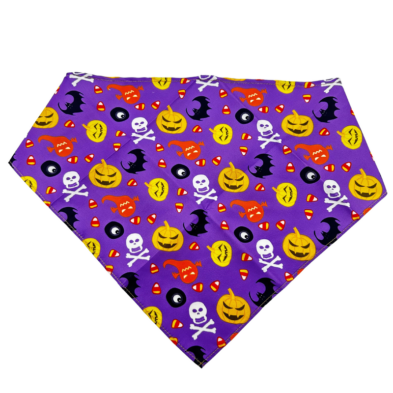 Halloween Pet Bandana - Medium