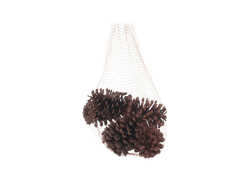 XMAS Decorative Pinecone - 6pk