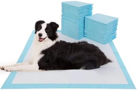 Pets Training pads - XL pads 26" X 30"