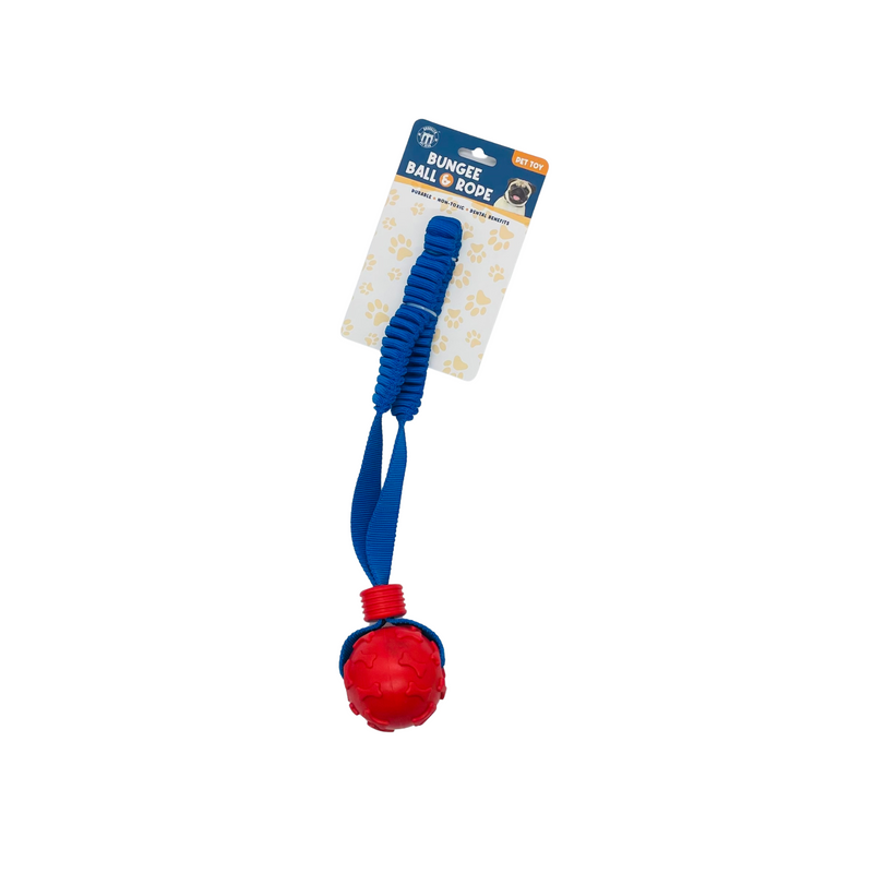 Bungee Rope and Ball Toy