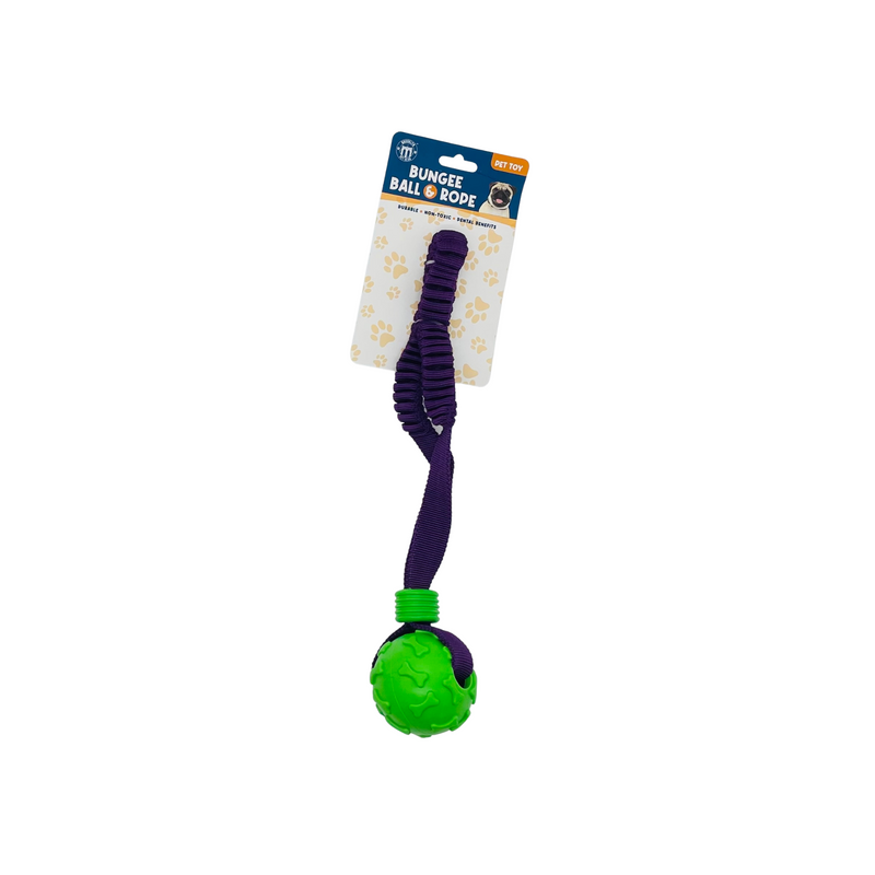 Bungee Rope and Ball Toy