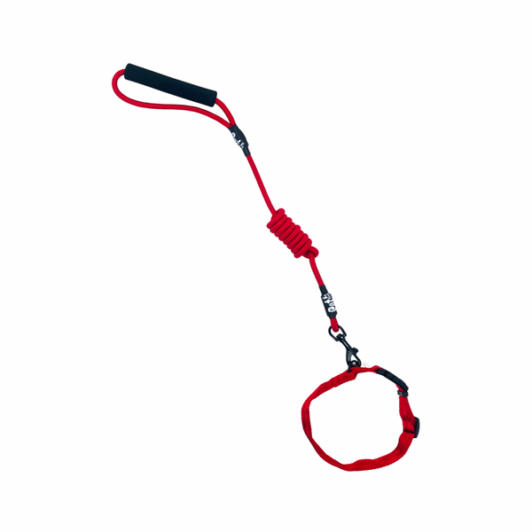 Pet Leash With Collar