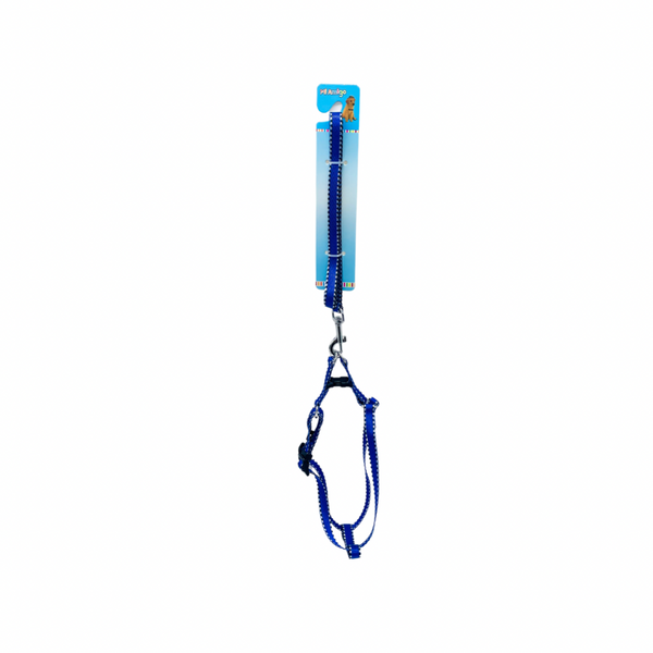 Pet Leash With Strap Harness