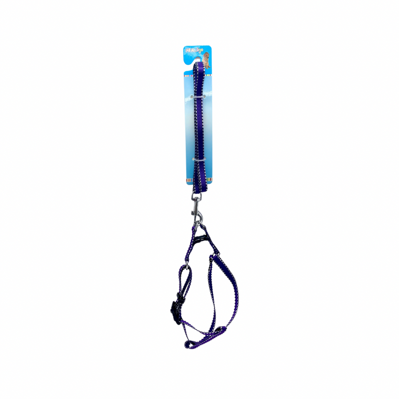 Pet Leash With Strap Harness